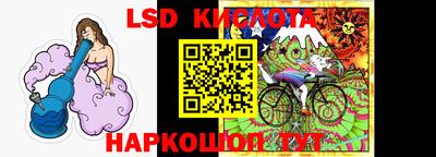СК Кимры
