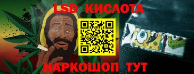 СК Кимры