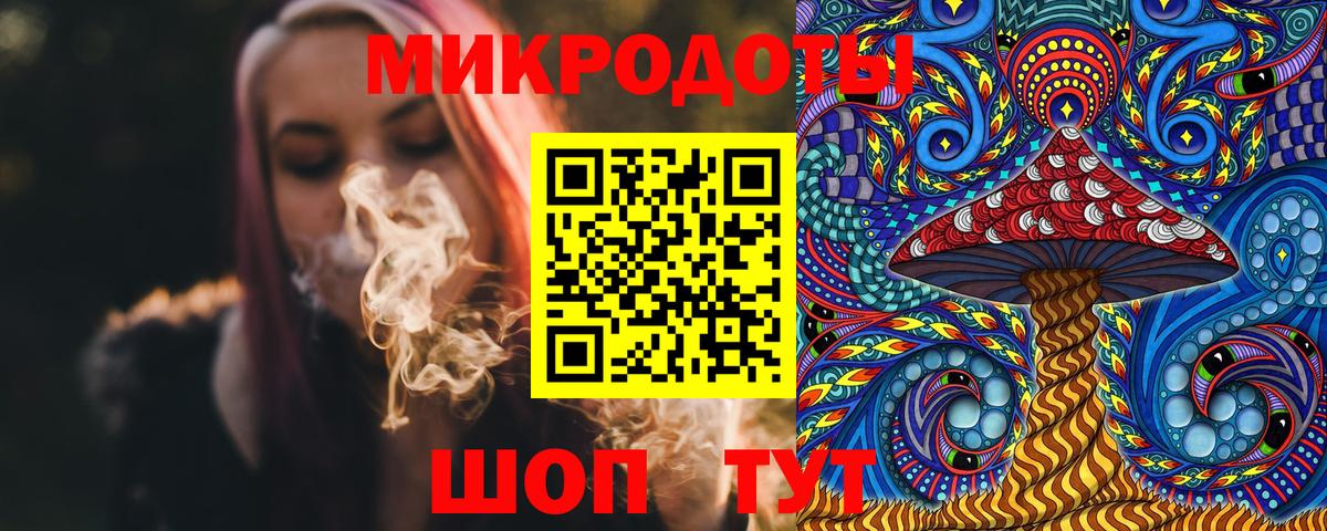 Галлюциногенные грибы Psilocybine cubensis Красноярск